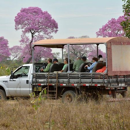 Pixaim Southwild Pantanal Lodge المظهر الخارجي الصورة