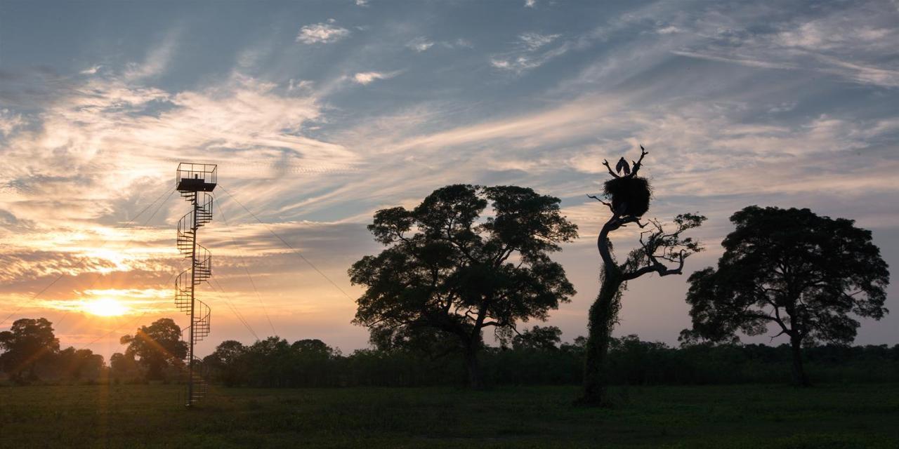 Pixaim Southwild Pantanal Lodge المظهر الخارجي الصورة