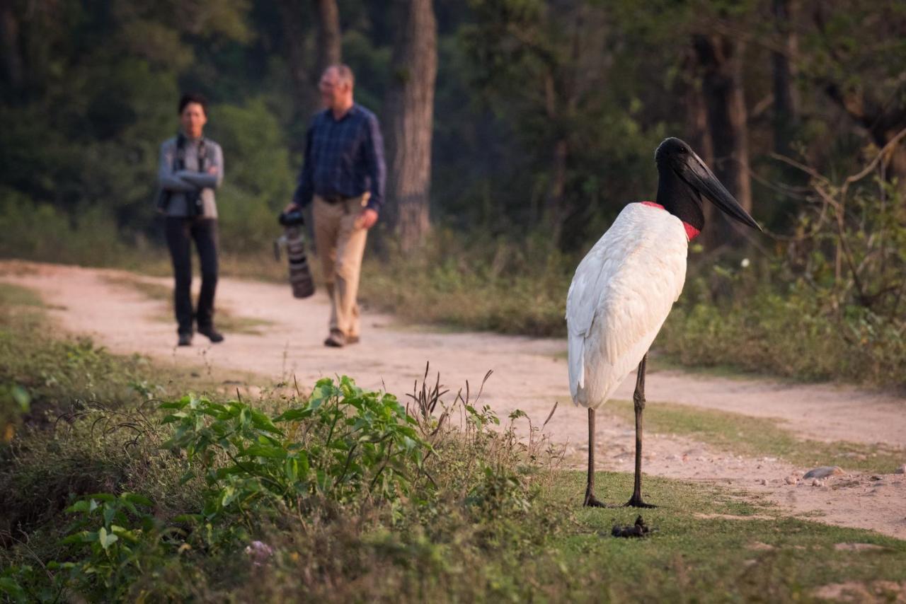 Pixaim Southwild Pantanal Lodge المظهر الخارجي الصورة