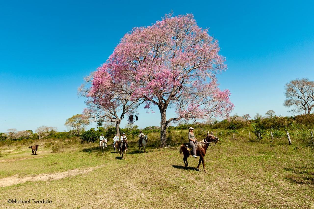 Pixaim Southwild Pantanal Lodge المظهر الخارجي الصورة