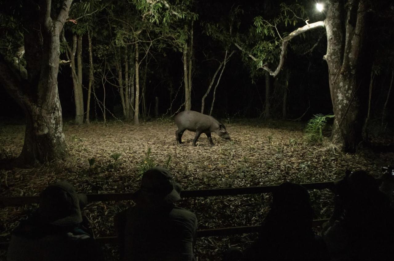 Pixaim Southwild Pantanal Lodge المظهر الخارجي الصورة
