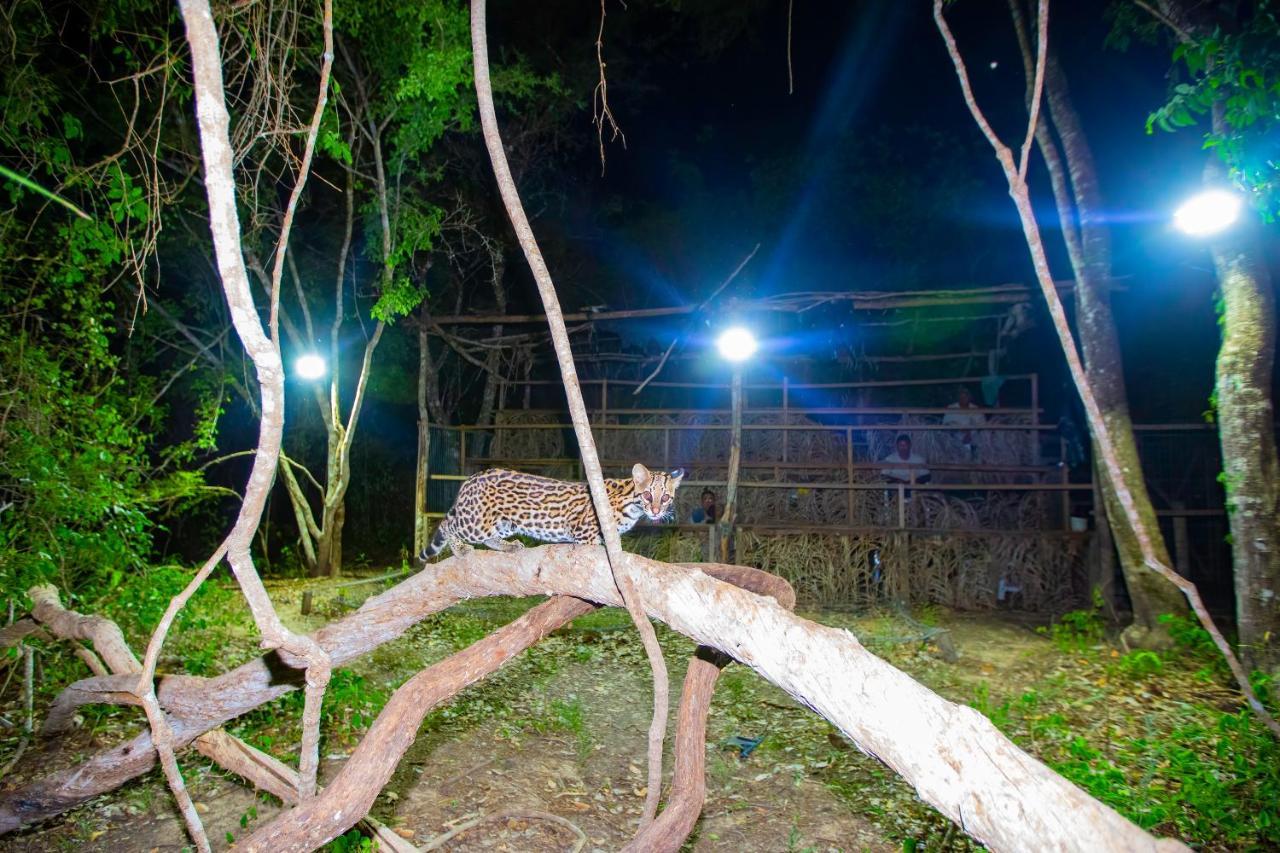 Pixaim Southwild Pantanal Lodge المظهر الخارجي الصورة