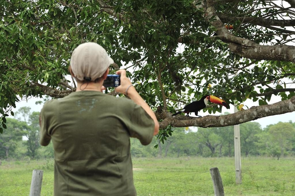 Pixaim Southwild Pantanal Lodge المظهر الخارجي الصورة