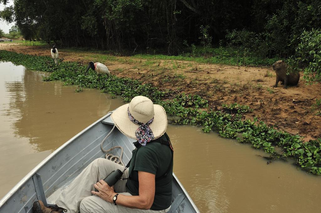 Pixaim Southwild Pantanal Lodge المظهر الخارجي الصورة
