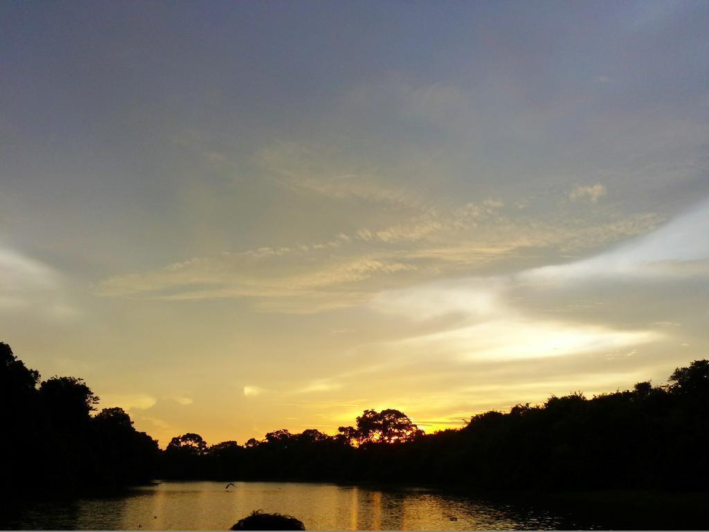 Pixaim Southwild Pantanal Lodge المظهر الخارجي الصورة