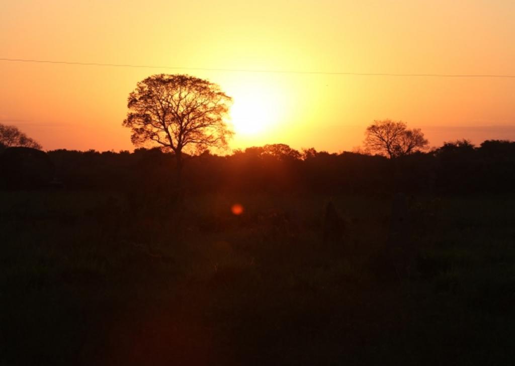 Pixaim Southwild Pantanal Lodge المظهر الخارجي الصورة