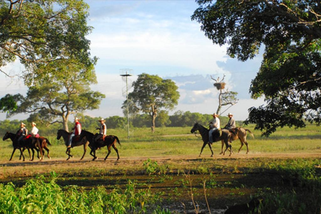 Pixaim Southwild Pantanal Lodge المظهر الخارجي الصورة