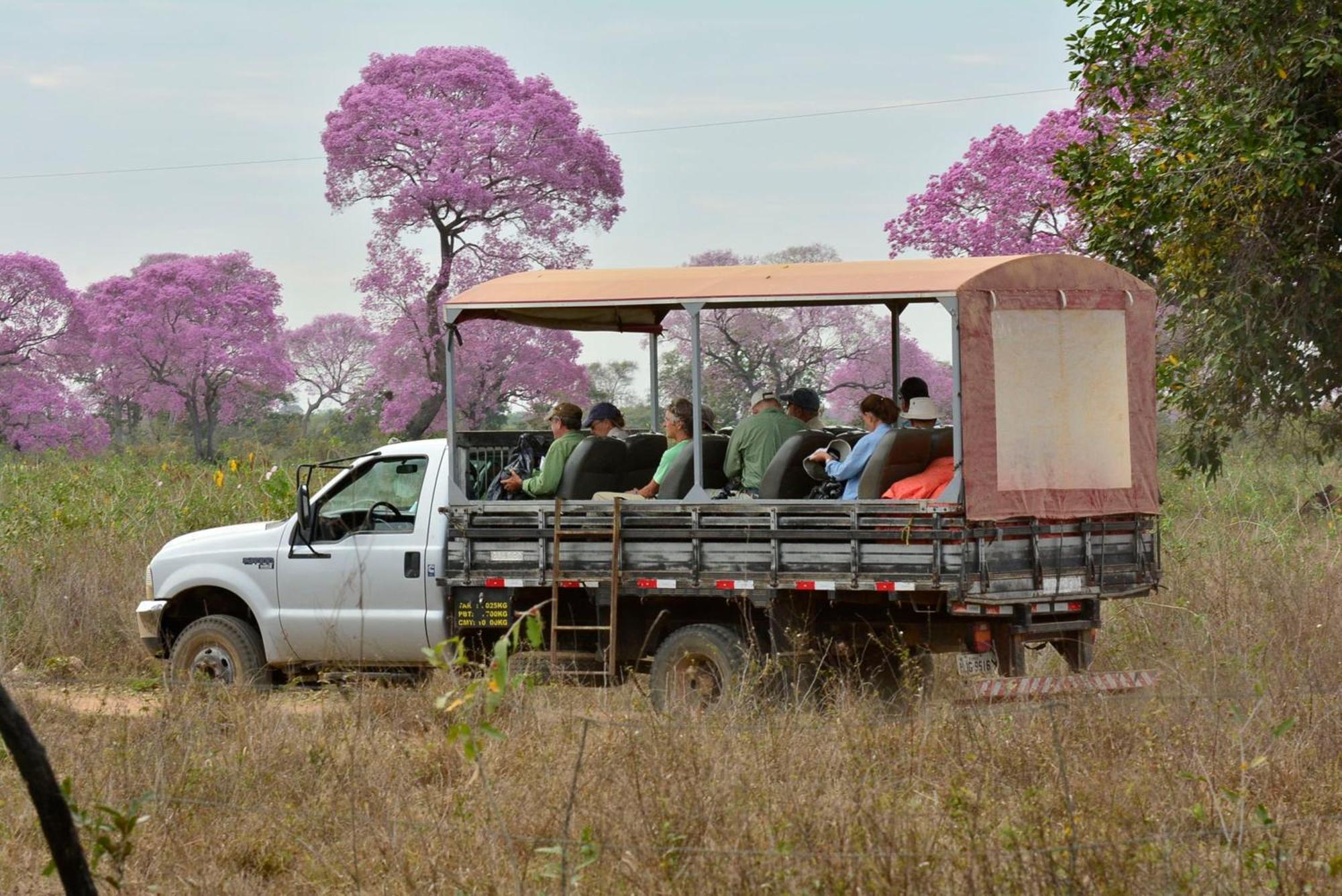 Pixaim Southwild Pantanal Lodge المظهر الخارجي الصورة