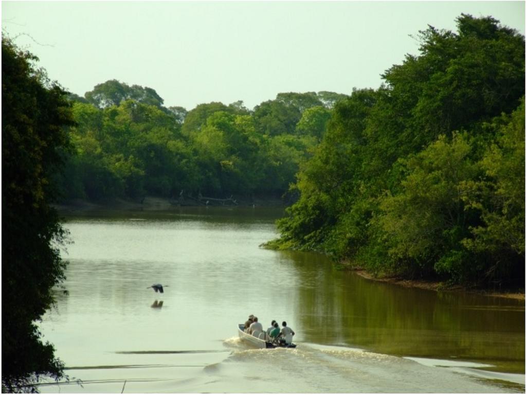 Pixaim Southwild Pantanal Lodge المظهر الخارجي الصورة
